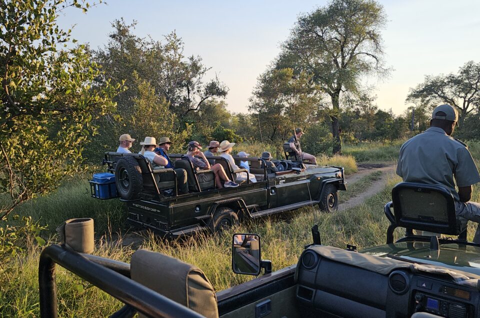 Private Reserve vs National Park Safari