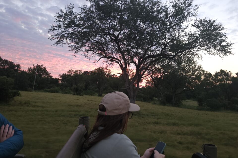 Honeymoon Safari Ideas: Romantic Itineraries Across Africa