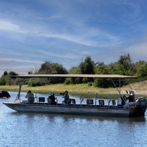 chobe safari lodge