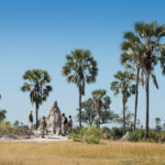 Victoria Falls and Botswana tour package