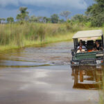 Botswana fly-in safari from Joburg