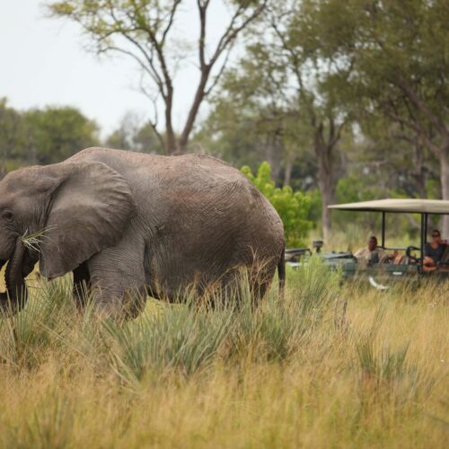 Okavango Delta