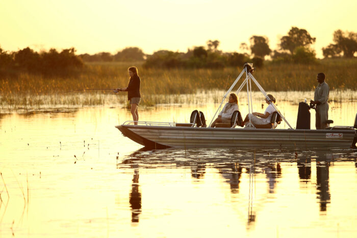 4-Day Okavango Delta Safari from Cape Town