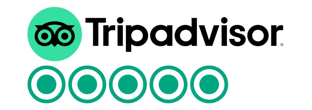 Untitled design 9 e1774527179774