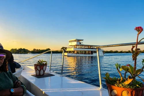Zambezi Cruise zambezi river cruise